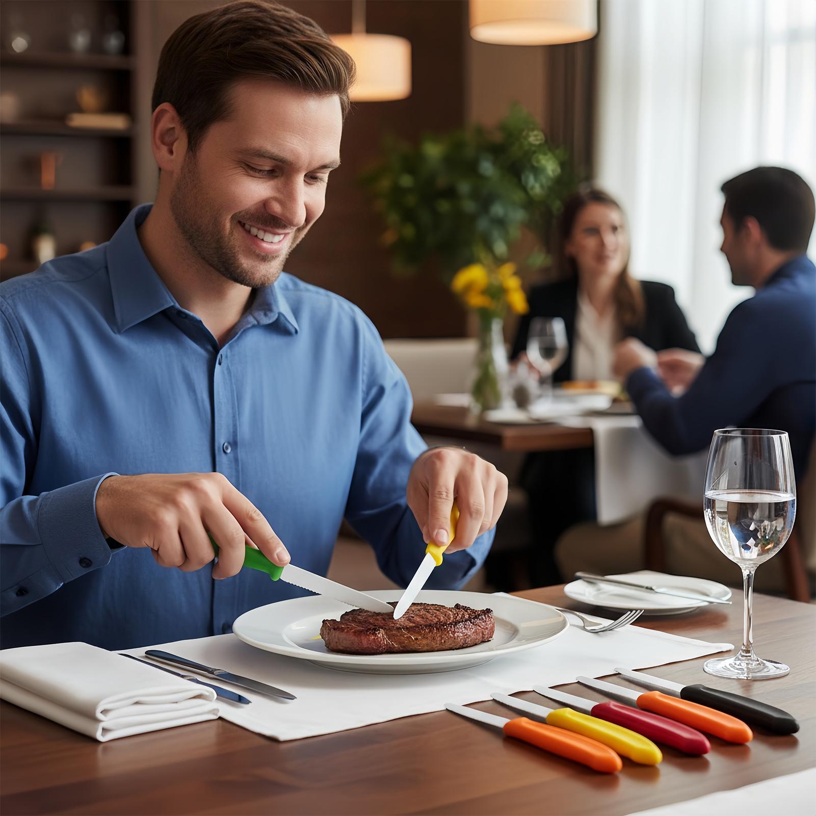 Serrated Steak Cutter 5 Pieces - Meal Prep Usa recension och pris